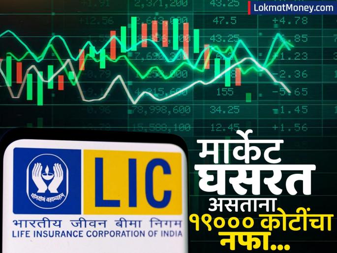 lic q4 results net profit jumps to rs 19000 crore dividend declares of 12 rupee impact will be seen on lic share today | बाजार कोसळला, तरी LIC ला धक्काही नाही! चौथ्या तिमाहीच्या निकालानंतर दणक्यात लाभांश जाहीर