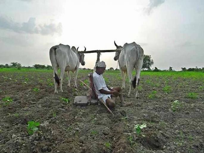 farmer ends life in Gondia in 2015 and 16 says report | २०१५ व १६ मध्ये गोंदियात सर्वाधिक शेतकऱ्यांच्या आत्महत्या farmer ends life in Gondia in 2015 and 16 says report | २०१५ व १६ मध्ये गोंदियात सर्वाधिक शेतकऱ्यांच्या आत्महत्या