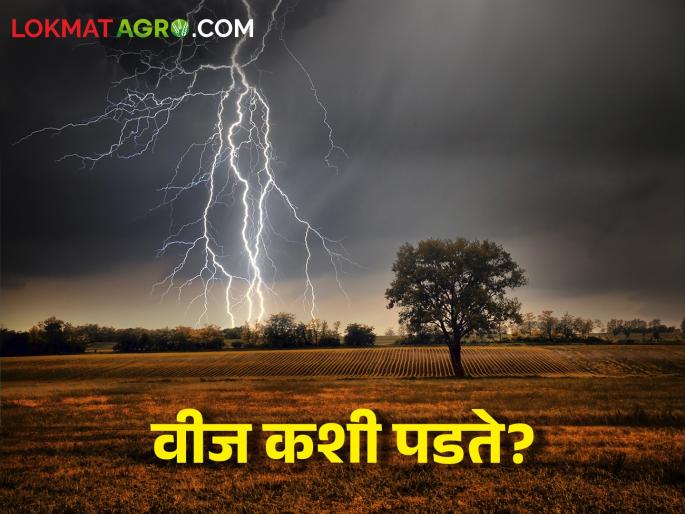 Farmer brothers, protect yourself from lightning during unseasonal rains: Take these precautions | शेतकरी बांधवानो अवकाळी पाऊसात विजेपासून स्वत:ला वाचवा: अशी घ्या खबरदारी Farmer brothers, protect yourself from lightning during unseasonal rains: Take these precautions | शेतकरी बांधवानो अवकाळी पाऊसात विजेपासून स्वत:ला वाचवा: अशी घ्या खबरदारी