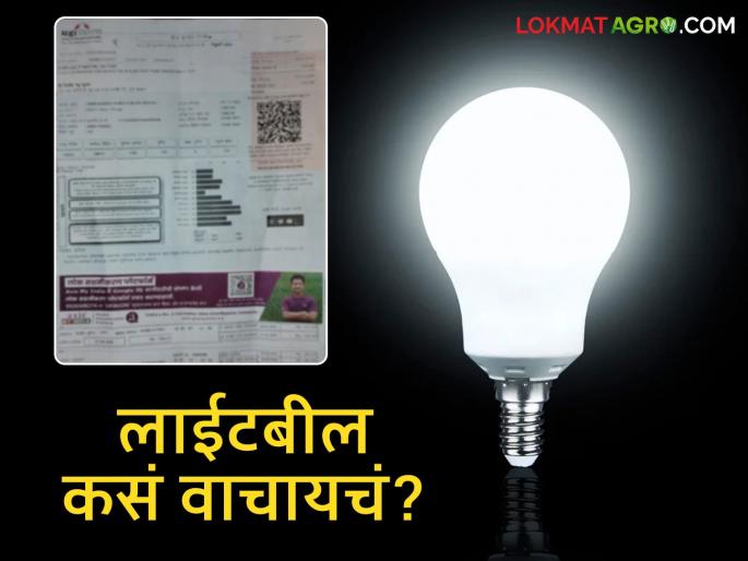 Latest News Mahavitaran Light Bill How to read your home's electricity bill, how much electricity is used, how many units are used, read in detail | घरचं लाईटबील कसं वाचायचं, लाईट किती वापरल्यावर किती युनिट होतं, वाचा सविस्तर 