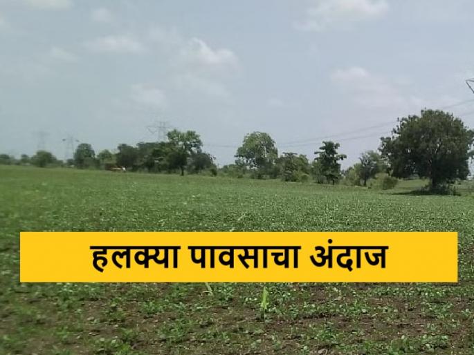 Latest news Light rain forecast for next five days in Nashik district, read in detail | Weather Report : नाशिक जिल्ह्यात पुढील पाच दिवस हलक्या पावसाचा अंदाज, वाचा सविस्तर  Latest news Light rain forecast for next five days in Nashik district, read in detail | Weather Report : नाशिक जिल्ह्यात पुढील पाच दिवस हलक्या पावसाचा अंदाज, वाचा सविस्तर