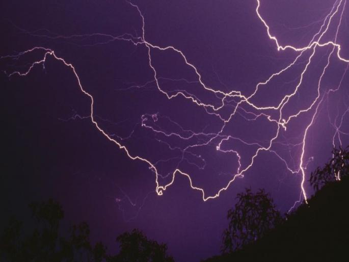 A catastrophic crisis on farmers; Burn 30 hens with two oxen and eight goats due to lightning strike | अस्मानी संकटाचा कहर; गोठ्यावर वीज पडल्याने दोन बैल, आठ शेळ्यांसह ३० कोंबड्या जळून खाक A catastrophic crisis on farmers; Burn 30 hens with two oxen and eight goats due to lightning strike | अस्मानी संकटाचा कहर; गोठ्यावर वीज पडल्याने दोन बैल, आठ शेळ्यांसह ३० कोंबड्या जळून खाक