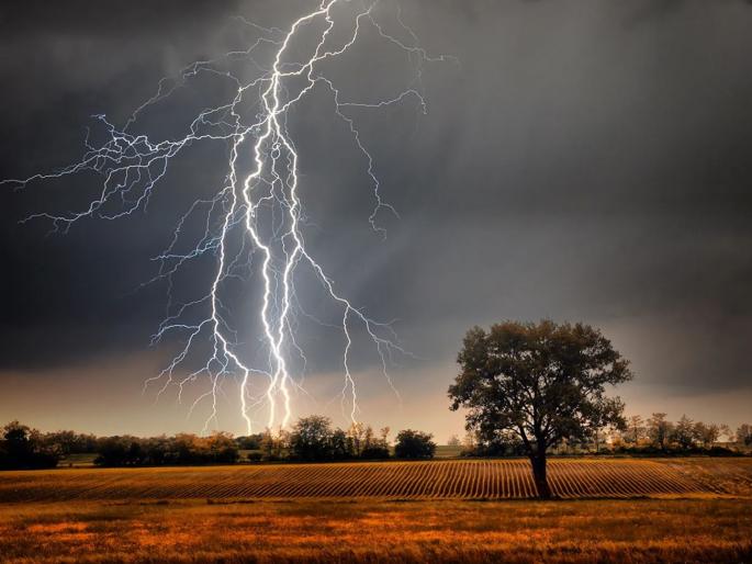 Waiting under a tree in the rain was desperate; Farm laborer killed by lightning, two injured | पावसात झाडाखाली थांबणे जिवावर बेतले; वीज पडून शेतमजुराचा मृत्यू, दोघे जखमी Waiting under a tree in the rain was desperate; Farm laborer killed by lightning, two injured | पावसात झाडाखाली थांबणे जिवावर बेतले; वीज पडून शेतमजुराचा मृत्यू, दोघे जखमी