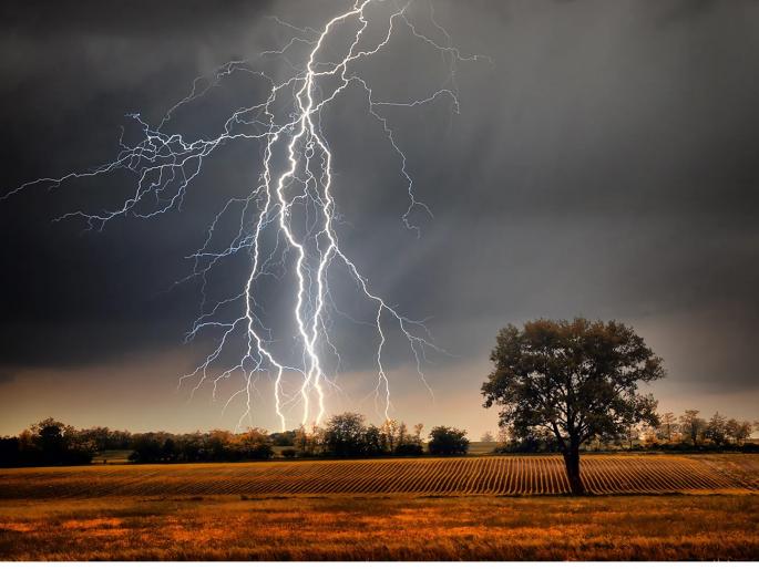 Farmer families in crisis during sowing season! Four farmers, including two brothers, die after being struck by lightning | ऐन पेरणीत शेतकरी कुटुंबांवर संकट! वीज कोसळून दोन सख्ख्या भावांसह चार शेतकऱ्यांचा मृत्यू Farmer families in crisis during sowing season! Four farmers, including two brothers, die after being struck by lightning | ऐन पेरणीत शेतकरी कुटुंबांवर संकट! वीज कोसळून दोन सख्ख्या भावांसह चार शेतकऱ्यांचा मृत्यू