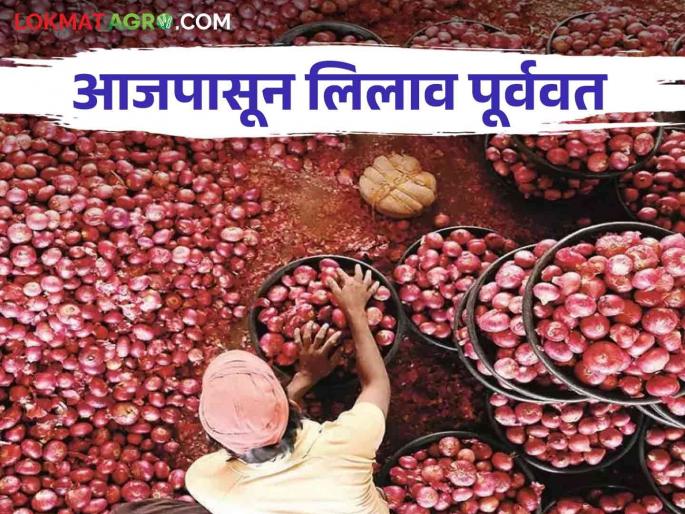 Latest News auctions started from today, chances of increase in arrival of onion and other farm produce | Nashik Market Yard : आजपासून लिलाव पूर्ववत, कांद्यासह इतर शेतमालाची आवक वाढण्याची शक्यता Latest News auctions started from today, chances of increase in arrival of onion and other farm produce | Nashik Market Yard : आजपासून लिलाव पूर्ववत, कांद्यासह इतर शेतमालाची आवक वाढण्याची शक्यता