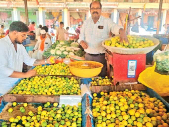 Lemons 'drop' in heat, but prices increase | उष्णतेवर लिंबाचा ‘उतारा’, पण भाव वधारला Lemons 'drop' in heat, but prices increase | उष्णतेवर लिंबाचा ‘उतारा’, पण भाव वधारला