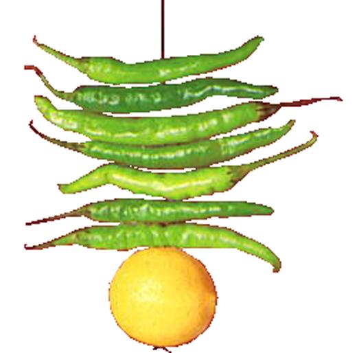 Public awareness by Anistas | अंनिसतर्फे जनजागृती करणार Public awareness by Anistas | अंनिसतर्फे जनजागृती करणार