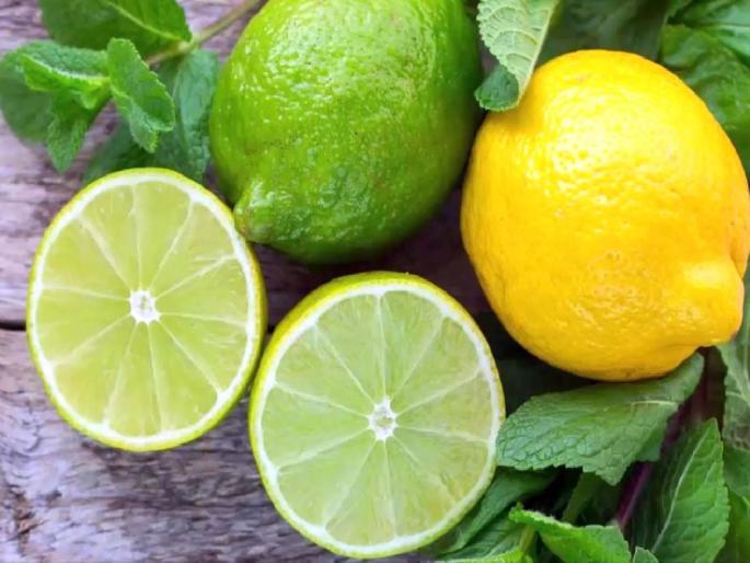Lemons Rs 300 per hundred before summer; The price is likely to increase further | उन्हाळ्यापूर्वीच लिंबू ३०० रुपये शेकडा; भाव आणखी वाढण्याची शक्यता Lemons Rs 300 per hundred before summer; The price is likely to increase further | उन्हाळ्यापूर्वीच लिंबू ३०० रुपये शेकडा; भाव आणखी वाढण्याची शक्यता