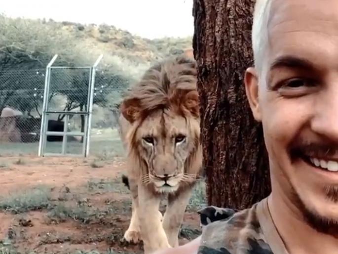 Man and lion friendship video shows that you can build a strong bond with an animal | Video : तो झाडाजवळ बसला होता, दबक्या पावलांनी मागून येत होता सिंह आणि..... Man and lion friendship video shows that you can build a strong bond with an animal | Video : तो झाडाजवळ बसला होता, दबक्या पावलांनी मागून येत होता सिंह आणि.....
