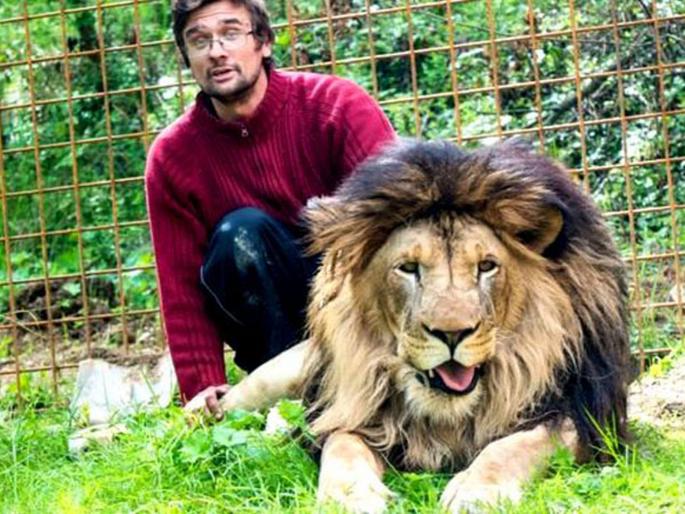 Pet lions killed after mauling czech man who illegally kept them in his backyard | सर्वांशी भांडून घरात पाळले होते वाघ, त्यांनीच घेतला मालकाचा जीव! Pet lions killed after mauling czech man who illegally kept them in his backyard | सर्वांशी भांडून घरात पाळले होते वाघ, त्यांनीच घेतला मालकाचा जीव!