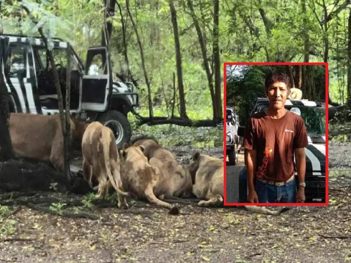 Thailand News: Video: Lion attacks zoo employee, tears him apart and eats him in front of tourists | Video: प्राणीसंग्रहालयातील कर्मचाऱ्यावर सिंहाचा हल्ला, पर्यटकांसमोर फाडून खाल्ले... Thailand News: Video: Lion attacks zoo employee, tears him apart and eats him in front of tourists | Video: प्राणीसंग्रहालयातील कर्मचाऱ्यावर सिंहाचा हल्ला, पर्यटकांसमोर फाडून खाल्ले...