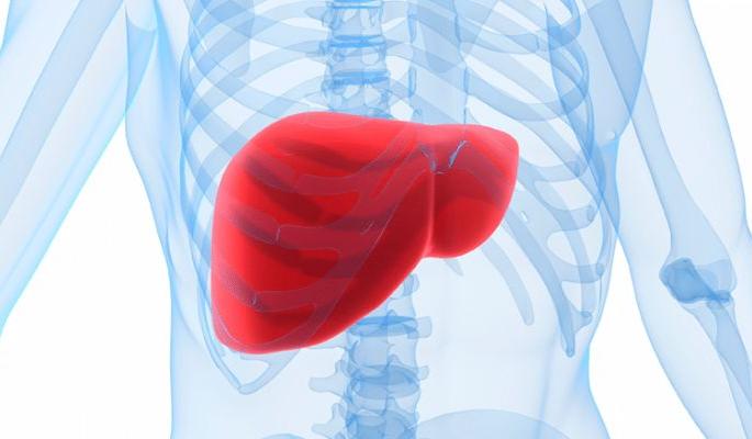 'Glycotherapy' will accurately diagnose liver related diseases | यकृताशी संबंधित आजारांवर ‘ग्लायकाेथेरेपी’ अचूक निदान करेल 'Glycotherapy' will accurately diagnose liver related diseases | यकृताशी संबंधित आजारांवर ‘ग्लायकाेथेरेपी’ अचूक निदान करेल