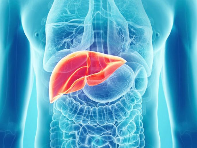 Why did the liver get damaged even if don't drink alcohol? The number of patients asking this question is increasing | ड्रिंक घेत नाही, तरी लिव्हर खराब का झाले? असा प्रश्न करणाऱ्या रुग्णांची संख्या वाढतेय Why did the liver get damaged even if don't drink alcohol? The number of patients asking this question is increasing | ड्रिंक घेत नाही, तरी लिव्हर खराब का झाले? असा प्रश्न करणाऱ्या रुग्णांची संख्या वाढतेय