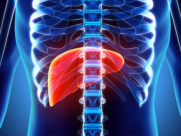 These 5 things are harmful for the liver besides alcohol | केवळ अल्कोहोलच नाही तर 'या' ५ गोष्टी सुद्धा लिव्हरसाठी आहेत घातक! These 5 things are harmful for the liver besides alcohol | केवळ अल्कोहोलच नाही तर 'या' ५ गोष्टी सुद्धा लिव्हरसाठी आहेत घातक!