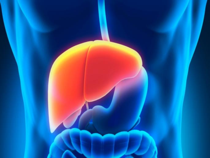 healthy food for liver | लिव्हर तंदरुस्त ठेवतील 'या' गोष्टी, आजच सेवन सुरु करा जर हवे असतील आणखी फायदे