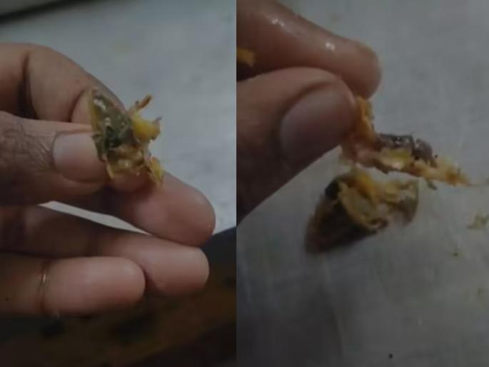 lizard found in food at rgpv canteen in bhopal employee eats it in front of students | किळसवाणं! जेवणात पाल सापडली, कर्मचाऱ्याने विद्यार्थ्यांसमोरच खाल्ली; म्हणाला "अरे, ही तर शिमला मिरची" lizard found in food at rgpv canteen in bhopal employee eats it in front of students | किळसवाणं! जेवणात पाल सापडली, कर्मचाऱ्याने विद्यार्थ्यांसमोरच खाल्ली; म्हणाला "अरे, ही तर शिमला मिरची"