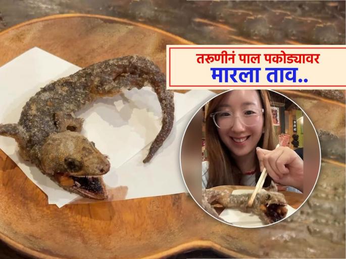 Japanese girl eats fried lizard weird video goes viral | तरुणीनं मिटक्या मारत खाल्ली फ्राय केलेली पाल, कुणी कौतुक केलं तर कुणी घेतली शाळा