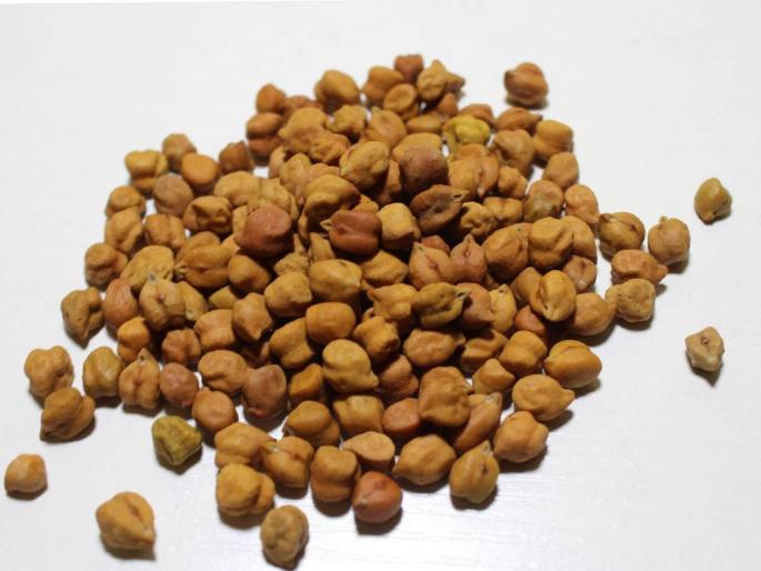 15,791 quintals of gram are being received in the state today, per quintal.. |  राज्यात आज १५,७९१ क्विंटल हरभऱ्याची आवक, क्विंटलमागे मिळतोय..  15,791 quintals of gram are being received in the state today, per quintal.. |  राज्यात आज १५,७९१ क्विंटल हरभऱ्याची आवक, क्विंटलमागे मिळतोय..