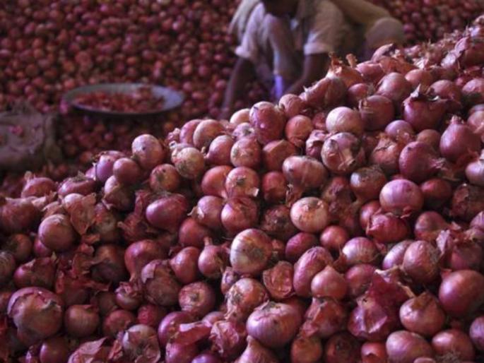 Response to NCCF onion procurement | एनसीसीएफच्या कांदा खरेदीला प्रतिसाद Response to NCCF onion procurement | एनसीसीएफच्या कांदा खरेदीला प्रतिसाद