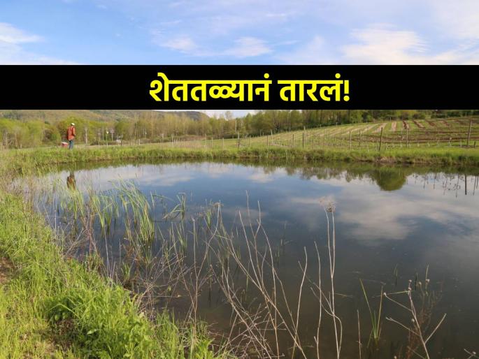 The farmpond saved farmer; vegetable cultivation doubled, about a thousand acres of agriculture under irrigation | शेततळ्यानं तारलं;भाजीपाला लागवड वाढली दुपटीने, सुमारे हजार एकर शेती ओलिताखाली The farmpond saved farmer; vegetable cultivation doubled, about a thousand acres of agriculture under irrigation | शेततळ्यानं तारलं;भाजीपाला लागवड वाढली दुपटीने, सुमारे हजार एकर शेती ओलिताखाली