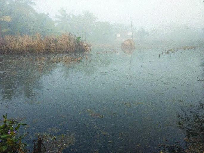 The problem of the security bunds continues, the breakthrough in the 10 places of security | संरक्षक बंधारे फुटीची समस्या कायम, , १० ठिकाणी संरक्षक बंधाºयास भगदाडे  The problem of the security bunds continues, the breakthrough in the 10 places of security | संरक्षक बंधारे फुटीची समस्या कायम, , १० ठिकाणी संरक्षक बंधाºयास भगदाडे