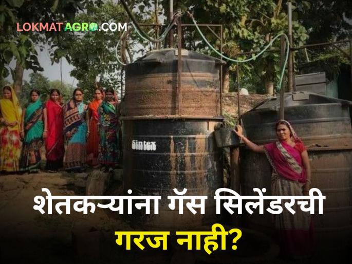 Do farmers need gas cylinders? | गाय पाळलेली असेल तर शेतकऱ्यांना गॅस सिलेंडरची गरज काय?