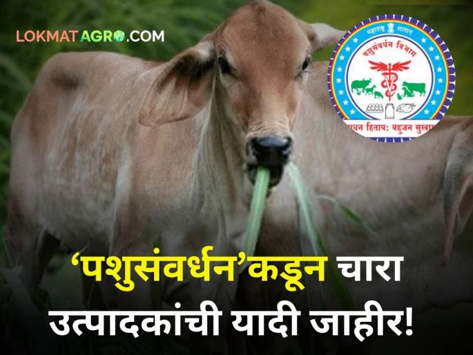 Are animals running low on fodder? Come here...; List of fodder vendors issued by Animal Husbandry Department | जनावरांना चारा कमी पडतोय? इथे या...; पशुसंवर्धन विभागाने जारी केलीये चारा उत्पादकांची यादी Are animals running low on fodder? Come here...; List of fodder vendors issued by Animal Husbandry Department | जनावरांना चारा कमी पडतोय? इथे या...; पशुसंवर्धन विभागाने जारी केलीये चारा उत्पादकांची यादी