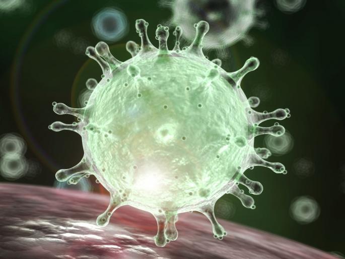 CoronaVirus 3 corona patients found Dahisar | CoronaVirus दहिसरला सापडले कोरोनाचे 3 रुग्ण CoronaVirus 3 corona patients found Dahisar | CoronaVirus दहिसरला सापडले कोरोनाचे 3 रुग्ण