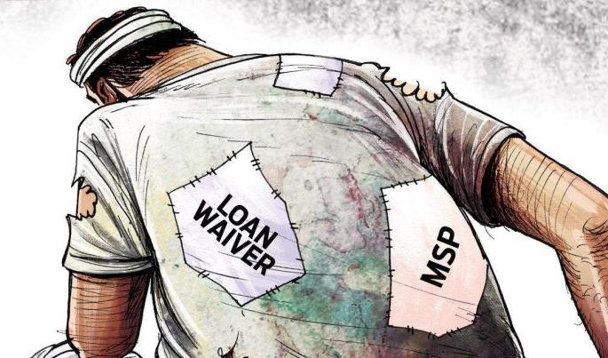 Loan accounts of 17706 farmers become ineligible! | १७,७०६ शेतकऱ्यांचे कर्ज खाते ठरले अपात्र! Loan accounts of 17706 farmers become ineligible! | १७,७०६ शेतकऱ्यांचे कर्ज खाते ठरले अपात्र!