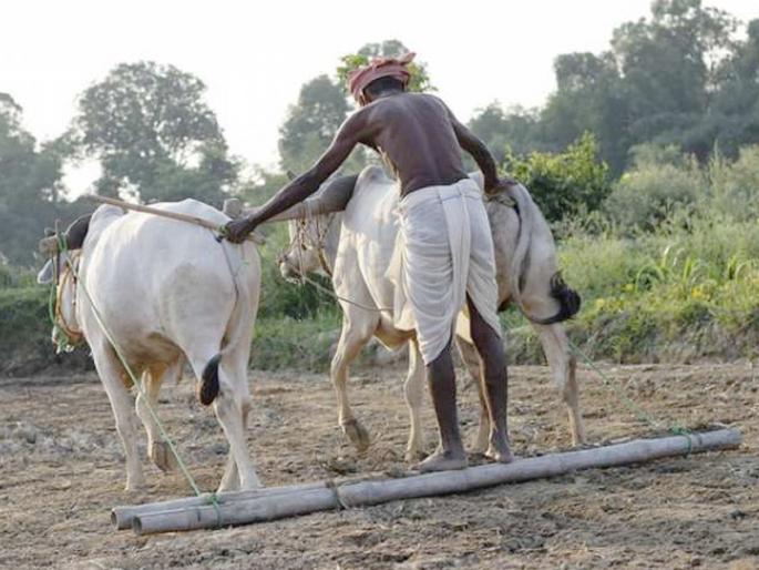  Debt waiver; All political gains | कर्जमाफीचे गौडबंगाल; सगळी राजकीय जुमलेबाजी