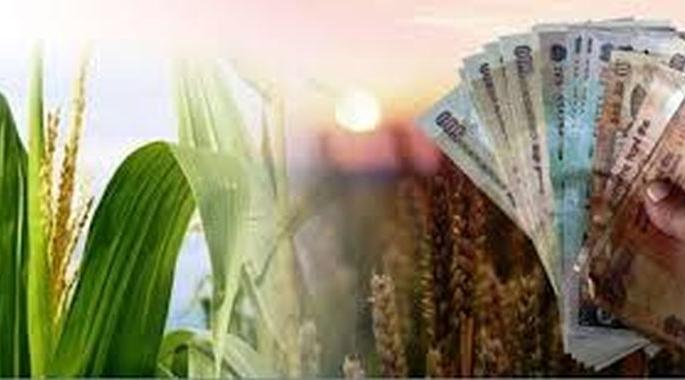 Central bank keeps more than 100 farmers out of debt waiver | सेंट्रल बँकेने १०० हून अधिक शेतकऱ्यांना ठेवले कर्जमाफीपासून वंचित Central bank keeps more than 100 farmers out of debt waiver | सेंट्रल बँकेने १०० हून अधिक शेतकऱ्यांना ठेवले कर्जमाफीपासून वंचित