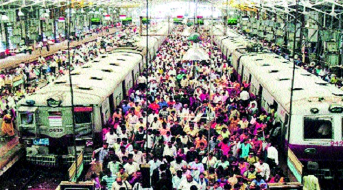 Your man-look | आपला माणूस- दृष्टीक्षेप Your man-look | आपला माणूस- दृष्टीक्षेप