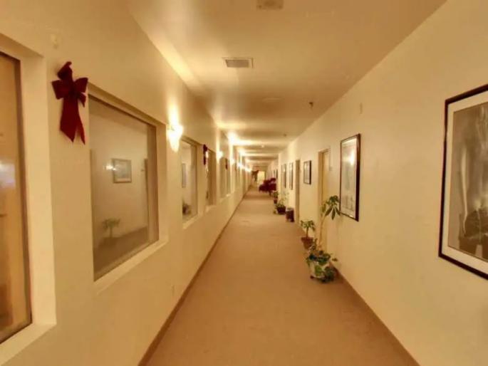 Prostitution in lodges at Wakad Relief of victimized woman | वाकड येथे लाॅजमध्ये वेश्याव्यवसाय; पीडित महिलेची सुटका Prostitution in lodges at Wakad Relief of victimized woman | वाकड येथे लाॅजमध्ये वेश्याव्यवसाय; पीडित महिलेची सुटका