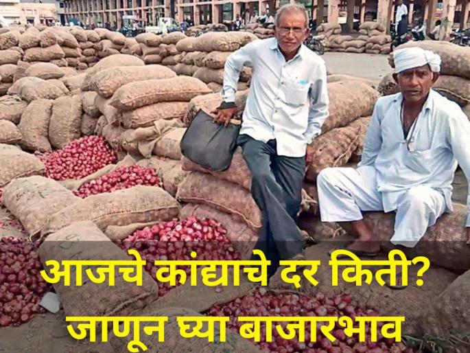 Onion prices came down today market yard price onion producer farmer agriculture | आजचे कांद्याचे दर किती? जाणून घ्या बाजारभाव Onion prices came down today market yard price onion producer farmer agriculture | आजचे कांद्याचे दर किती? जाणून घ्या बाजारभाव