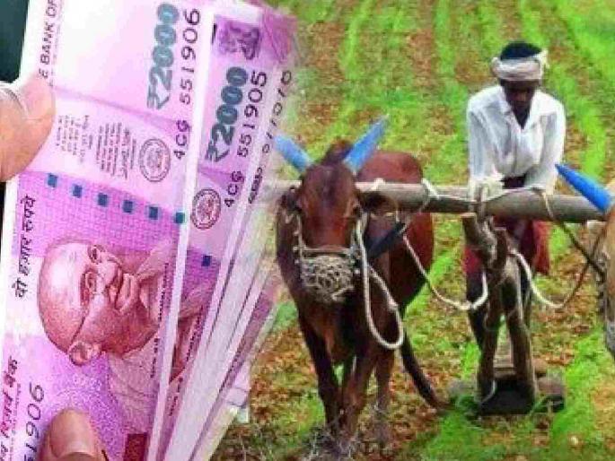 31,000 crore loans owed to farmers by banks across the state | राज्यभरातील बँकांचे शेतकऱ्यांकडे ३१ हजार कोटी कर्ज थकीत 31,000 crore loans owed to farmers by banks across the state | राज्यभरातील बँकांचे शेतकऱ्यांकडे ३१ हजार कोटी कर्ज थकीत