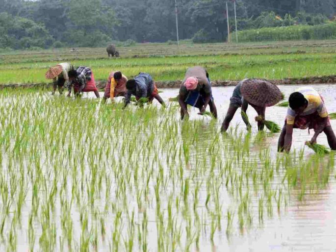 Demand of Rs 140, Granted Rs 40 only | मागणी १४० रुपयांची, मंजूर केले केवळ ४० रुपये Demand of Rs 140, Granted Rs 40 only | मागणी १४० रुपयांची, मंजूर केले केवळ ४० रुपये