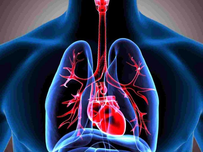 7 million deaths due to air pollution; Health impact of poor air quality in Nagpur | वायू प्रदूषणामुळे ७० लाख लोकांचा मृत्यू; नागपुरातील खराब हवेच्या गुणवत्तेमुळे आरोग्यावर परिणाम 7 million deaths due to air pollution; Health impact of poor air quality in Nagpur | वायू प्रदूषणामुळे ७० लाख लोकांचा मृत्यू; नागपुरातील खराब हवेच्या गुणवत्तेमुळे आरोग्यावर परिणाम