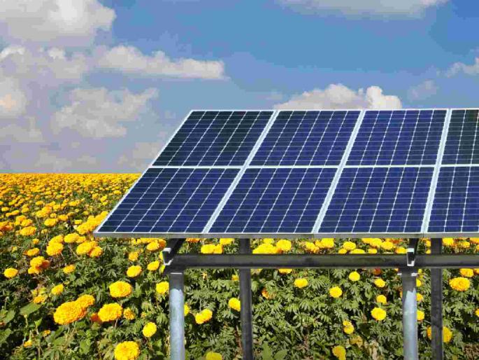 891 electricity consumers in the district became self-sufficient; Get subsidy up to Rs. 78 thousand | जिल्ह्यातील ८९१ वीज ग्राहक झाले स्वावलंबी; मिळते ७८ हजार रुपयांपर्यंत सबसिडी