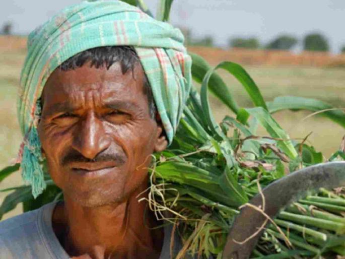 58 thousand farmers waiting for PM Kisan subsidy | ५८ हजार शेतकऱ्यांना पीएम किसानच्या अनुदानाची प्रतीक्षा 58 thousand farmers waiting for PM Kisan subsidy | ५८ हजार शेतकऱ्यांना पीएम किसानच्या अनुदानाची प्रतीक्षा