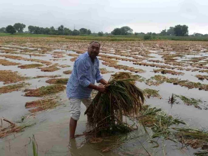 50 days have passed since the complaint; Still waiting for Panchnama | नुकसानाच्या तक्रारीला ५० दिवस लोटले; पंचनाम्याची प्रतीक्षा कायम 50 days have passed since the complaint; Still waiting for Panchnama | नुकसानाच्या तक्रारीला ५० दिवस लोटले; पंचनाम्याची प्रतीक्षा कायम