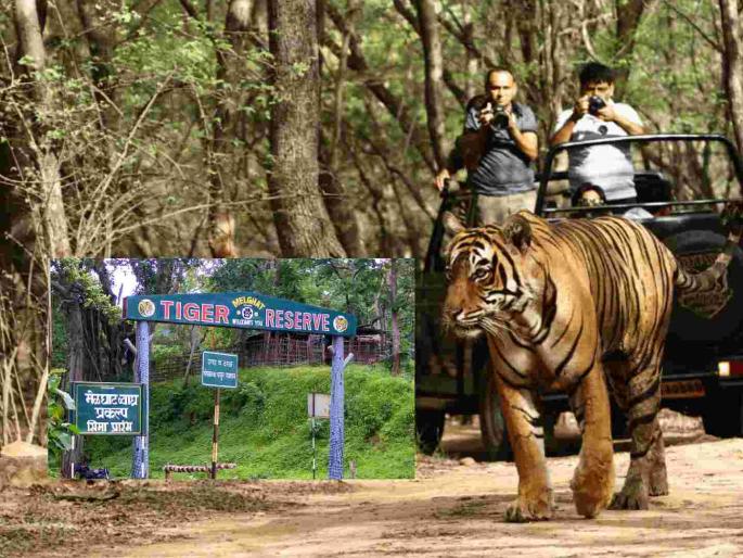 Ample funding to nature tourism sites in Maharashtra; Melghat and Pench are excluded | महाराष्ट्रातील निसर्ग पर्यंटन स्थळांना मुबलक निधी; मेळघाट अन् पेंच वगळले Ample funding to nature tourism sites in Maharashtra; Melghat and Pench are excluded | महाराष्ट्रातील निसर्ग पर्यंटन स्थळांना मुबलक निधी; मेळघाट अन् पेंच वगळले