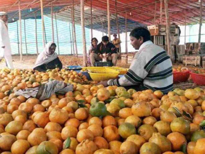 Bank leverage for food processing industries; 142 proposals rejected by the bank | अन्नप्रक्रिया उद्योगांसाठी बँकेची आडकाठी; १४२ प्रस्ताव बँकेकडून रिजेक्ट Bank leverage for food processing industries; 142 proposals rejected by the bank | अन्नप्रक्रिया उद्योगांसाठी बँकेची आडकाठी; १४२ प्रस्ताव बँकेकडून रिजेक्ट