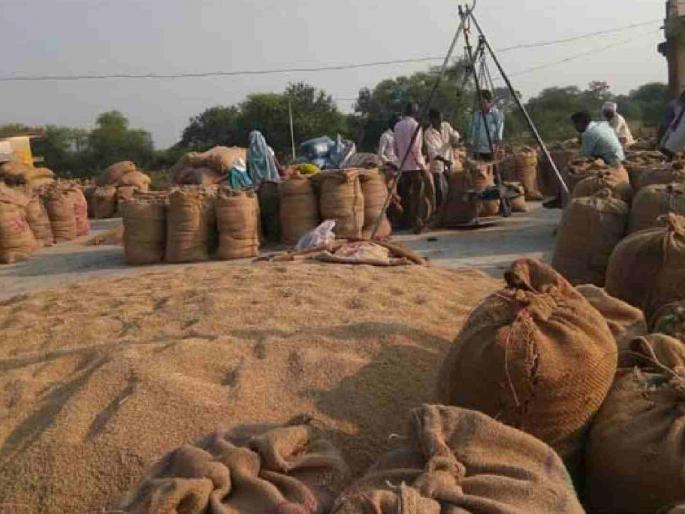 As the arrival of new paddy increased, the traders reduced the prices | नवीन धानाची आवक वाढताच व्यापाऱ्यांनी कमी केले भाव As the arrival of new paddy increased, the traders reduced the prices | नवीन धानाची आवक वाढताच व्यापाऱ्यांनी कमी केले भाव