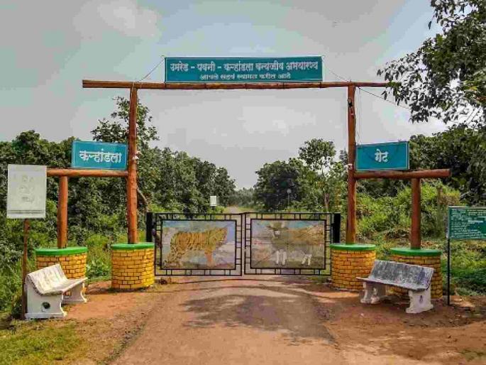 The development of tourist places in Tumsar and Mohadi talukas was stopped | तुमसर व मोहाडी तालुक्यांतील पर्यटनस्थळांचा विकास रखडला The development of tourist places in Tumsar and Mohadi talukas was stopped | तुमसर व मोहाडी तालुक्यांतील पर्यटनस्थळांचा विकास रखडला