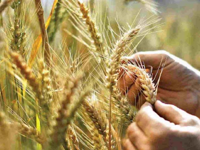 ...then the sowing of the rabbi will be impossible; The season is likely to be wasted this year | ...तर रब्बीची पेरणी होणार अशक्यप्राय; हंगाम यावर्षी वाया जाण्याची शक्यता ...then the sowing of the rabbi will be impossible; The season is likely to be wasted this year | ...तर रब्बीची पेरणी होणार अशक्यप्राय; हंगाम यावर्षी वाया जाण्याची शक्यता