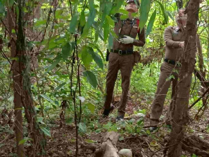 A mother found the skeleton of a child who had been missing for five months in the forest | पाच महिन्यांपासून बेपत्ता मुलाचा आईला जंगलात आढळला सांगाडा A mother found the skeleton of a child who had been missing for five months in the forest | पाच महिन्यांपासून बेपत्ता मुलाचा आईला जंगलात आढळला सांगाडा