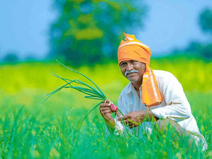 How will farmers get help? Lists by talathis not available to 'Krishi' | कशी मिळणार शेतकऱ्यांना मदत? तलाठ्यांच्या याद्या 'कृषी'ला अप्राप्त How will farmers get help? Lists by talathis not available to 'Krishi' | कशी मिळणार शेतकऱ्यांना मदत? तलाठ्यांच्या याद्या 'कृषी'ला अप्राप्त