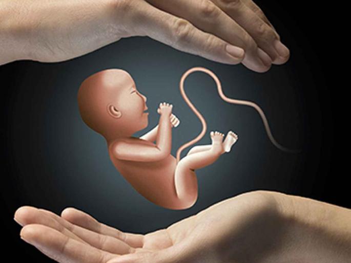 Young trees were found in the bushes and garbage. Is humanity lost or love lost? | झुडुप, कचऱ्यात तान्ही लेकरं सापडली माणुसकी हरविली की ममता आटली? Young trees were found in the bushes and garbage. Is humanity lost or love lost? | झुडुप, कचऱ्यात तान्ही लेकरं सापडली माणुसकी हरविली की ममता आटली?