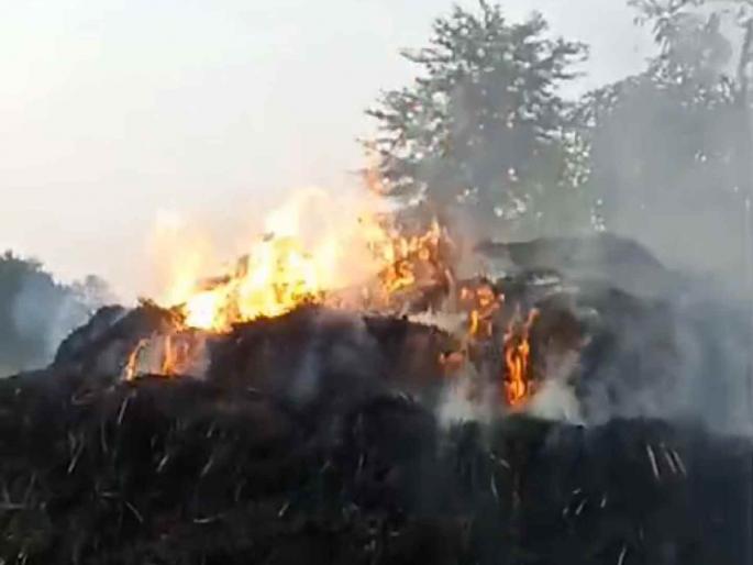 Four acres of rice paddy belonging to two farmers got burnt | दोन शेतकऱ्यांचे चार एकरातील धान पुंजणे जळून खाक; विराेधकांनी आग लावल्याची शंका Four acres of rice paddy belonging to two farmers got burnt | दोन शेतकऱ्यांचे चार एकरातील धान पुंजणे जळून खाक; विराेधकांनी आग लावल्याची शंका