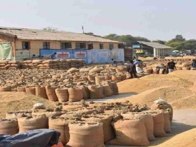 Payments of Rs. 27 crores were received but stopped due to lack of portal updates | २७ कोटी रुपयांचे चुकारे आले पण पोर्टल अपडेटअभावी थांबले Payments of Rs. 27 crores were received but stopped due to lack of portal updates | २७ कोटी रुपयांचे चुकारे आले पण पोर्टल अपडेटअभावी थांबले